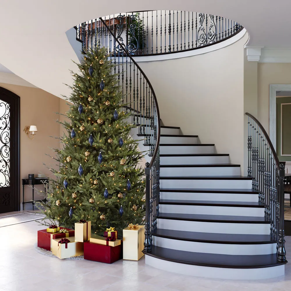 15' Itasca Fraser Artificial Christmas Tree Dura-Lit® Multi-Colored LED Lights