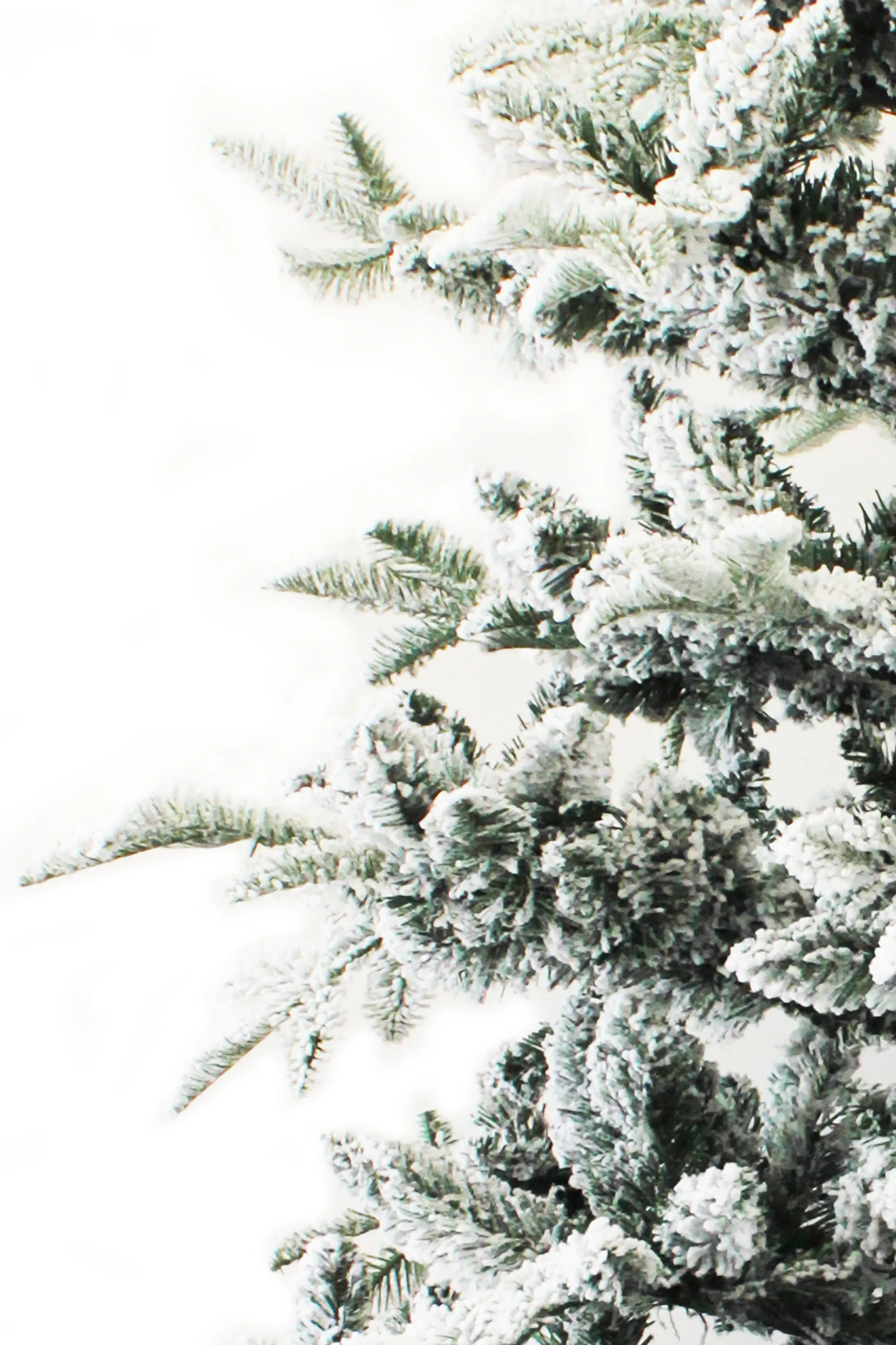 Calgary Spruce Snow Flocked Christmas Tree