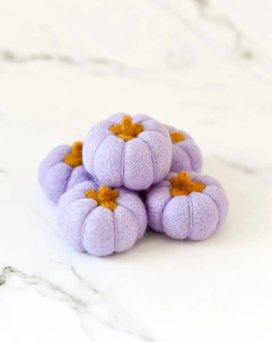 Felt Pumpkins (Set of 5) - Tara treasures