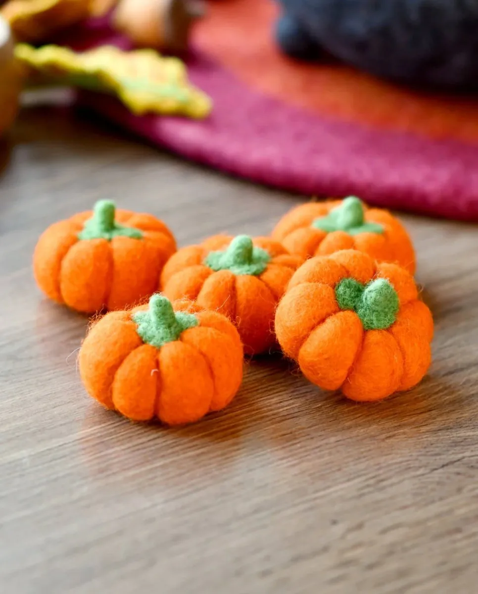 Felt Pumpkins (Set of 5) - Tara treasures