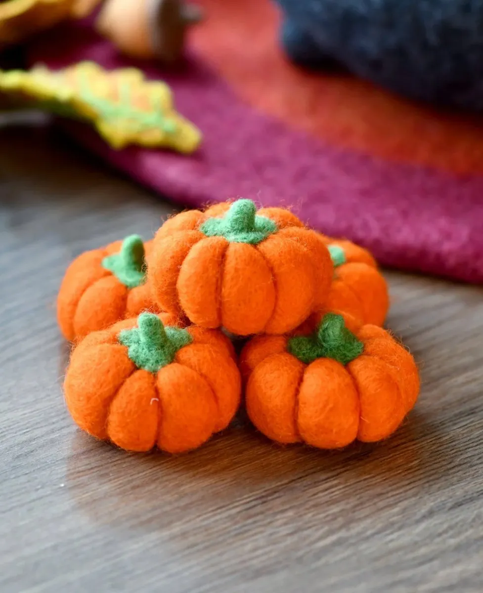 Felt Pumpkins (Set of 5) - Tara treasures