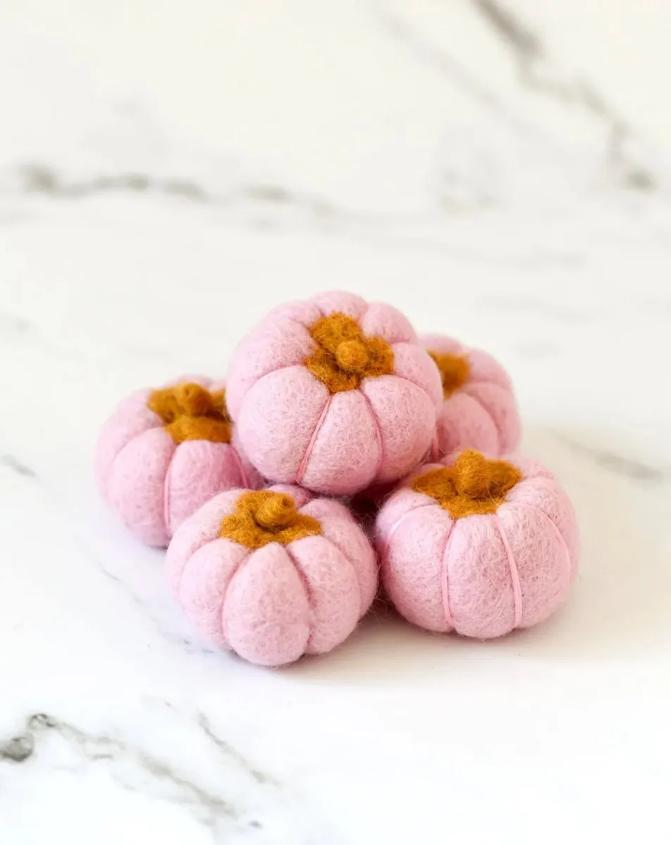 Felt Pumpkins (Set of 5) - Tara treasures