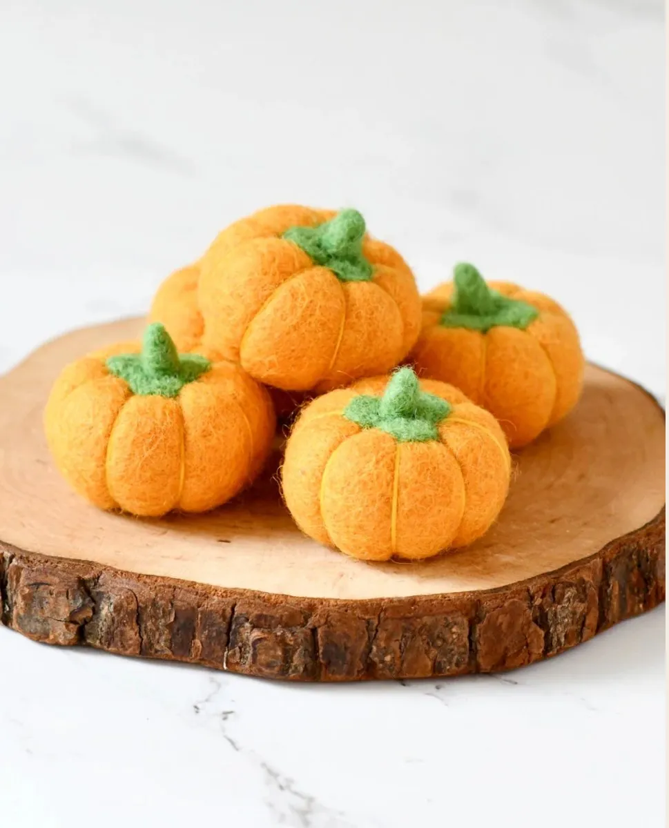 Felt Pumpkins (Set of 5) - Tara treasures
