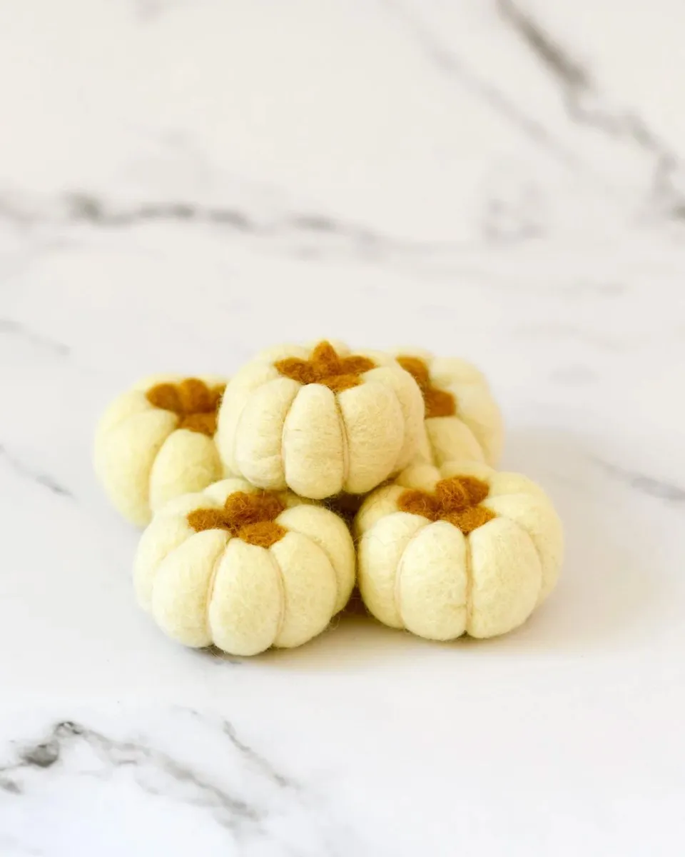 Felt Pumpkins (Set of 5) - Tara treasures