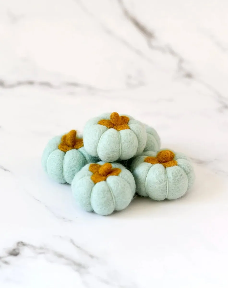 Felt Pumpkins (Set of 5) - Tara treasures