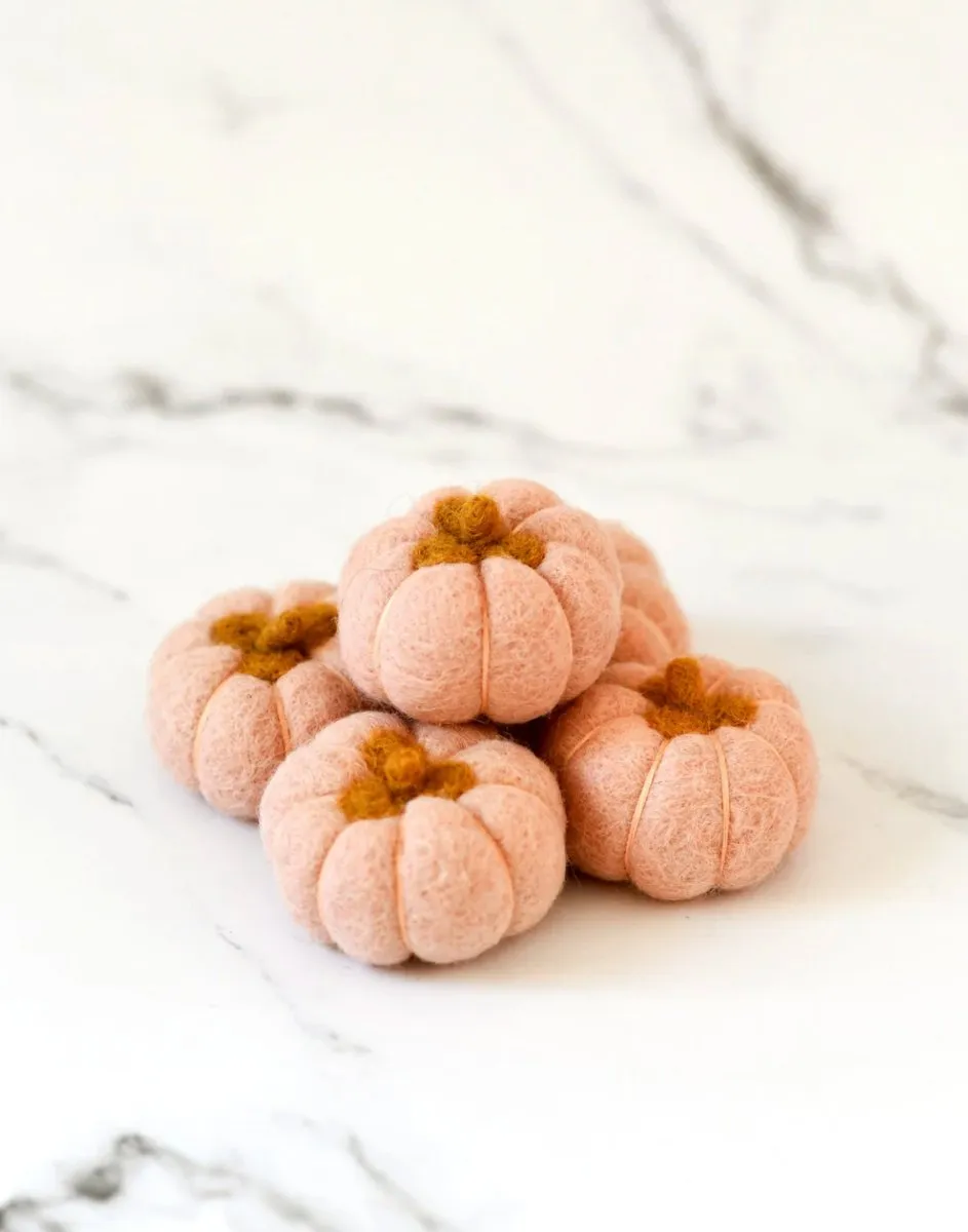 Felt Pumpkins (Set of 5) - Tara treasures
