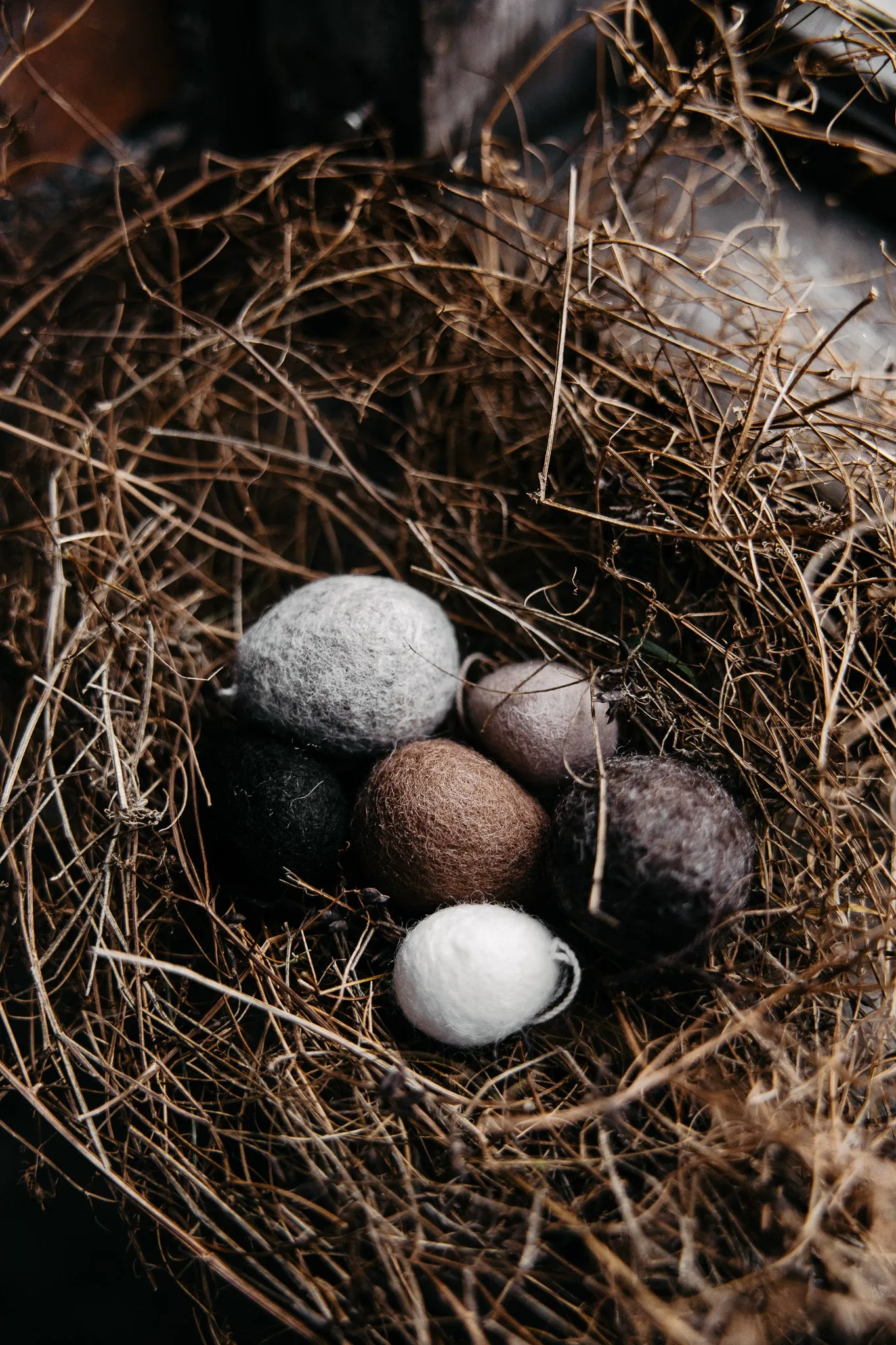 Felted Hanging Egg Decoration | Various | by Storefactory