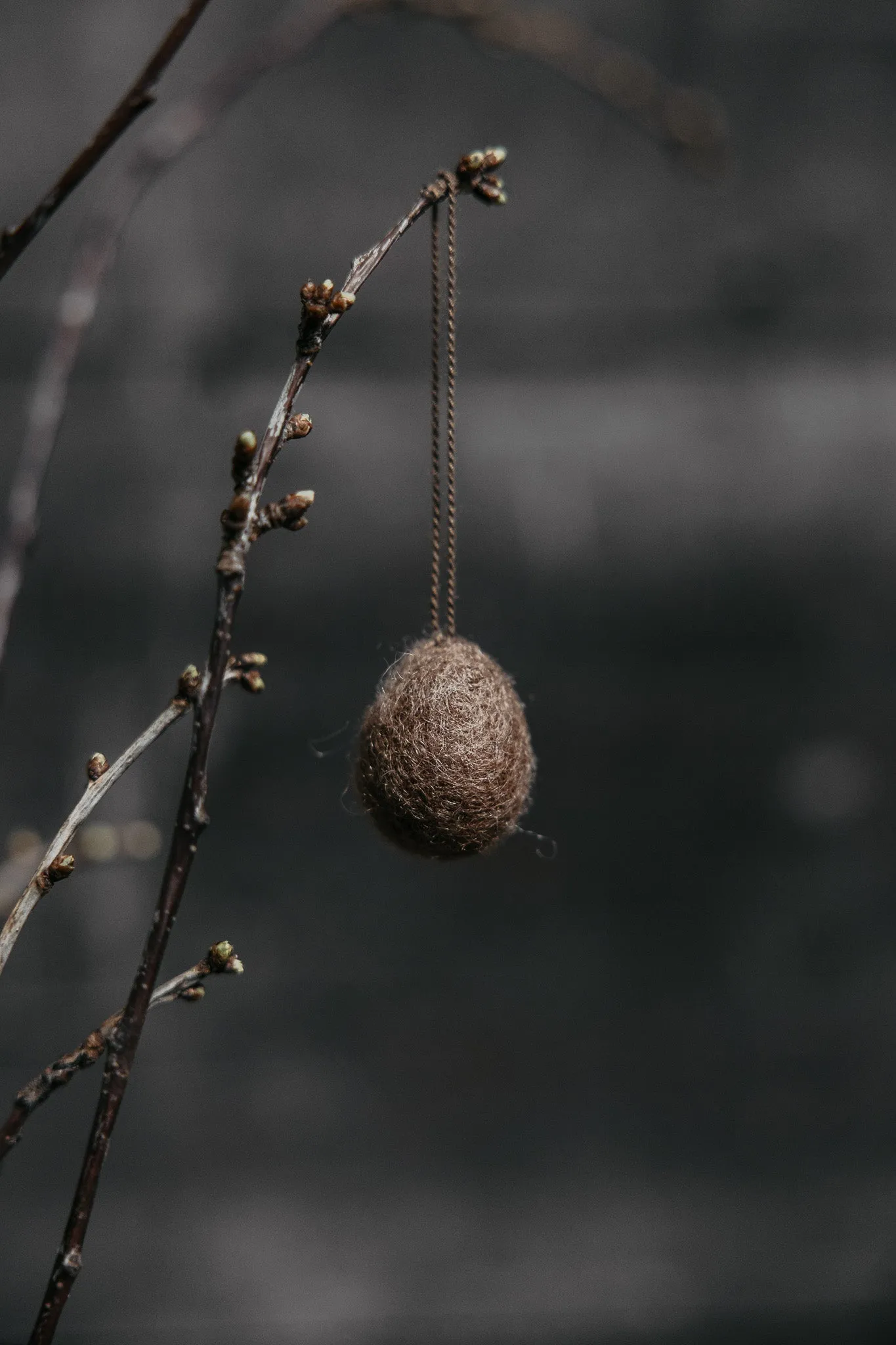 Felted Hanging Egg Decoration | Various | by Storefactory