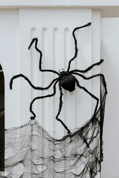 Halloween Black Spider Decoration (60cm)