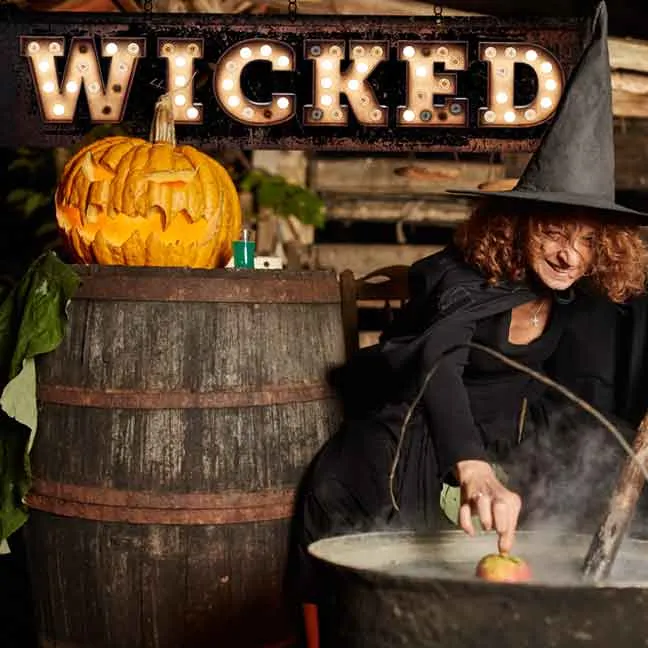 Halloween Wall Decor Wicked Witch Sign Faux Marquee