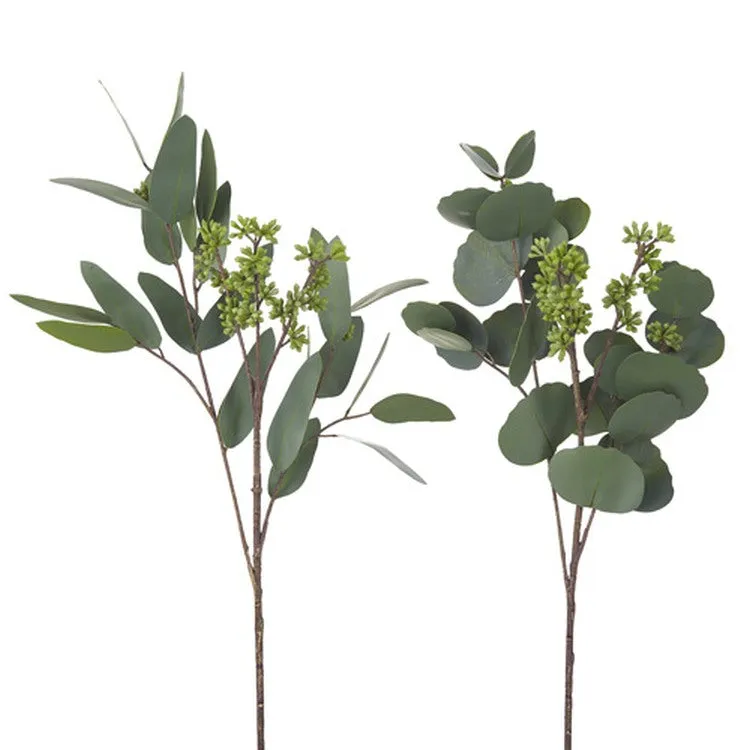 Raz Imports Natural Surroundings 19" Seeded Eucalyptus Pick, Asst of 2