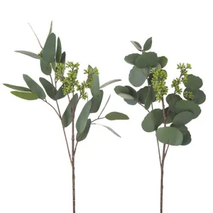Raz Imports Natural Surroundings 19" Seeded Eucalyptus Pick, Asst of 2