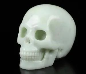 Skeleton Head Bone Skull Model Statue, Decorative Halloween Decor