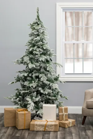 Snow Flocked Alpine Fir Christmas Tree